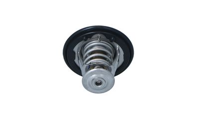 TERMOSTAT LICHID RACIRE NRF 725152 25