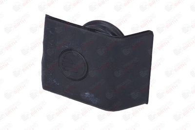 BUSON UMPLERE ULEI BIRTH 8176 2