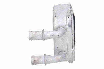 ÖLKüHLER MOTORöL VEMO V24600064 5