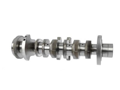 ARBORE COTIT ET ENGINETEAM HK0183 20