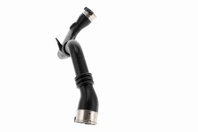 FURTUN EAR SUPRAALIMENTARE ACKOJA A380619 4