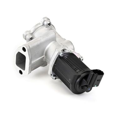 SUPAPA EGR DELPHI EG1064212B1 17