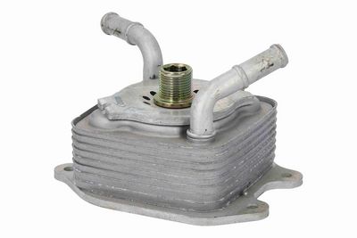 RADIATOR ULEI ULEI MOTOR ACKOJA A38600024 4