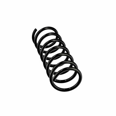 ARC SPIRAL EIBACH R10838 24