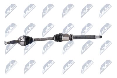 PLANETARA NTY NPWFR074 22