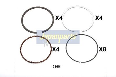 SEGMENT PISTON