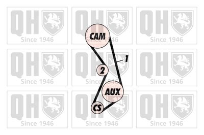 SET CUREA DE DISTRIBUTIE QUINTON HAZELL QBK447 1