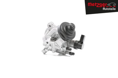 POMPA DE INALTA PRESIUNE METZGER AUTOTEILE 0830121 25