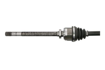 Drivaxel PASCAL G2R192PC för RENAULT