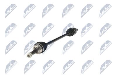 PLANETARA NTY NPWTY094 19