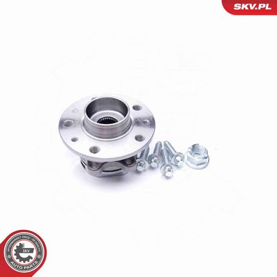 SET RULMENT ROATA ESEN SKV 29SKV172 1