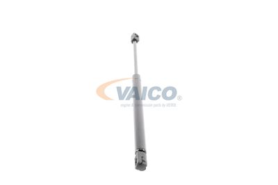 GASFEDER KOFFER-/LADERAUM VAICO V240499 49