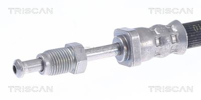 FURTUN FRANA TRISCAN 815028282 1