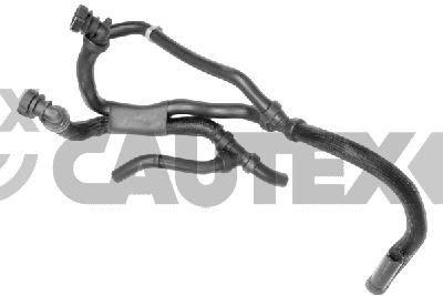 Шланг радиатора CAUTEX 774480 для RENAULT LATITUDE