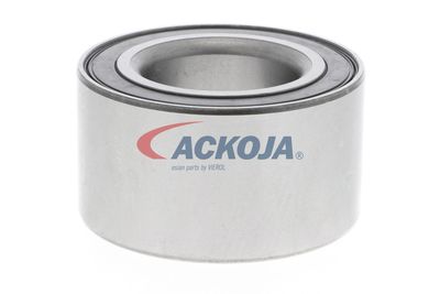 SET RULMENT ROATA ACKOJA A320020 48