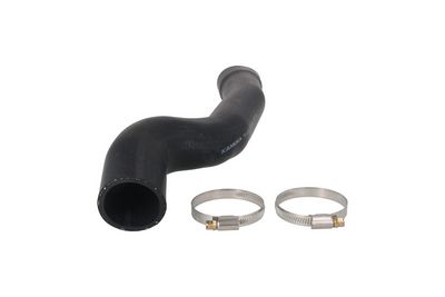 FURTUN EAR SUPRAALIMENTARE