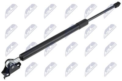 Dujinė spyruoklė, bagažinė