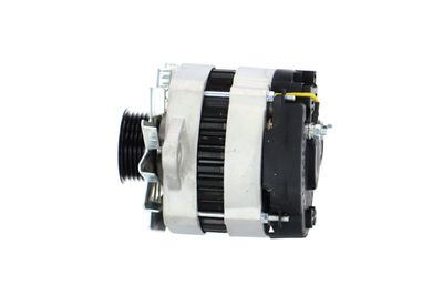 GENERATOR / ALTERNATOR REMANTE 011003000081R 17