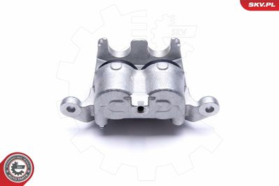 Brake Caliper 55SKV012