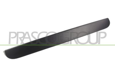 Дръжка външна врата PRASCO DG0058301