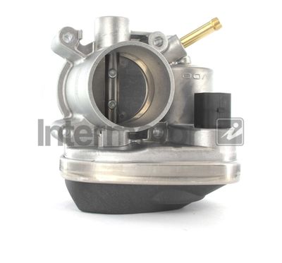 Throttle Body Intermotor 68225