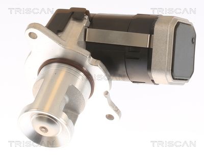 Zawór AGR TRISCAN 8813 23036