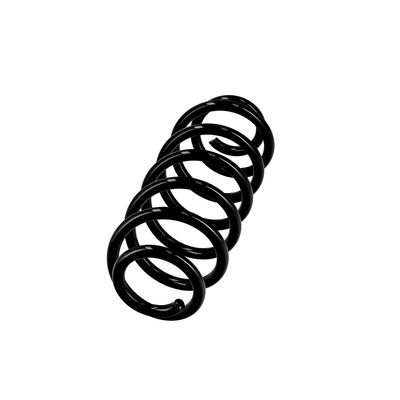 ARC SPIRAL EIBACH R10141 14