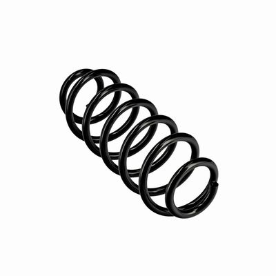 ARC SPIRAL EIBACH R10413 23