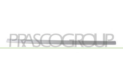 ELEMENTE DECORATIVE/PROTECTIE PORTIERA PRASCO OP3501413