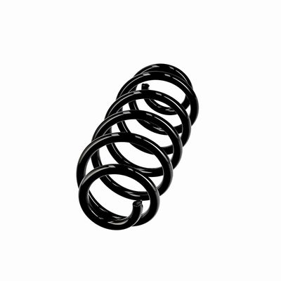 ARC SPIRAL EIBACH R10811 2