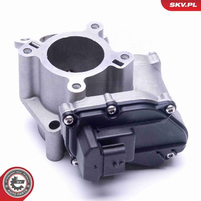 SUPAPA EGR ESEN SKV 14SKV184 3