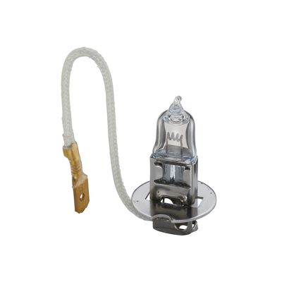 BEC INCANDESCENT BOSCH 1987302431 21