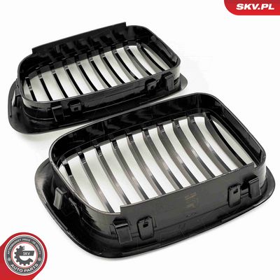 GRILA RADIATOR ESEN SKV 66SKV060 3