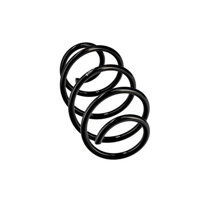 ARC SPIRAL EIBACH R10425 24