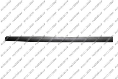 ELEMENTE DECORATIVE/PROTECTIE PORTIERA