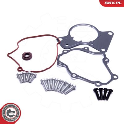 Remonto komplektas, vakuumo siurblys (stabdymo įrenginys)