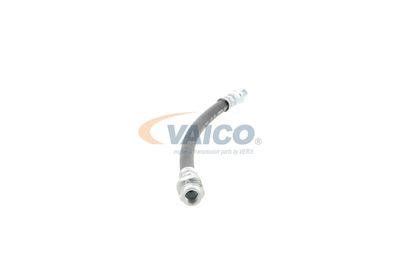 FURTUN FRANA VAICO V201900 40