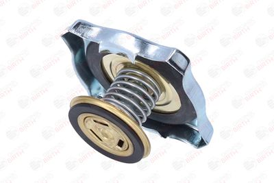 BUSON RADIATOR BIRTH 8088 7