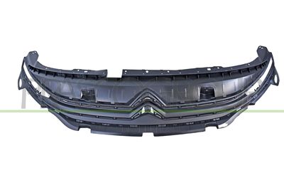 GRILA RADIATOR PRASCO CI9252001