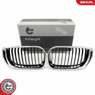 GRILA RADIATOR ESEN SKV 66SKV079 10