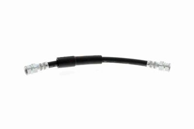 FURTUN FRANA VAICO V104141 1
