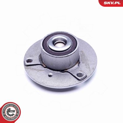 SET RULMENT ROATA ESEN SKV 29SKV189 1