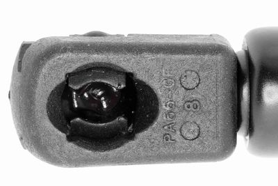 GASFEDER KOFFER-/LADERAUM VAICO V250429 2