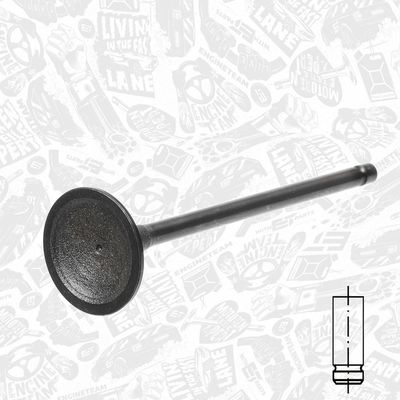 SUPAPA ADMISIE ET ENGINETEAM VI0131 1