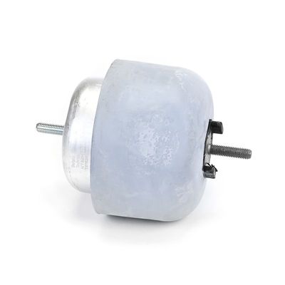 LAGERUNG MOTOR DELPHI TEM241 3