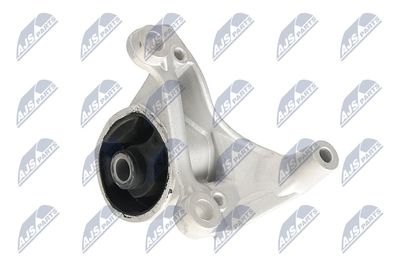 SUPORT MOTOR NTY ZPSHD066 21