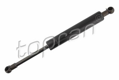 Dujinė spyruoklė, bagažinė