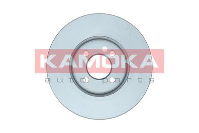 Brake Disc 103073