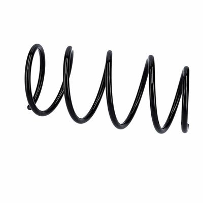 ARC SPIRAL EIBACH R10991 8