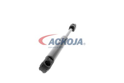AMORTIZOR PORTBAGAJ ACKOJA A320249 49
